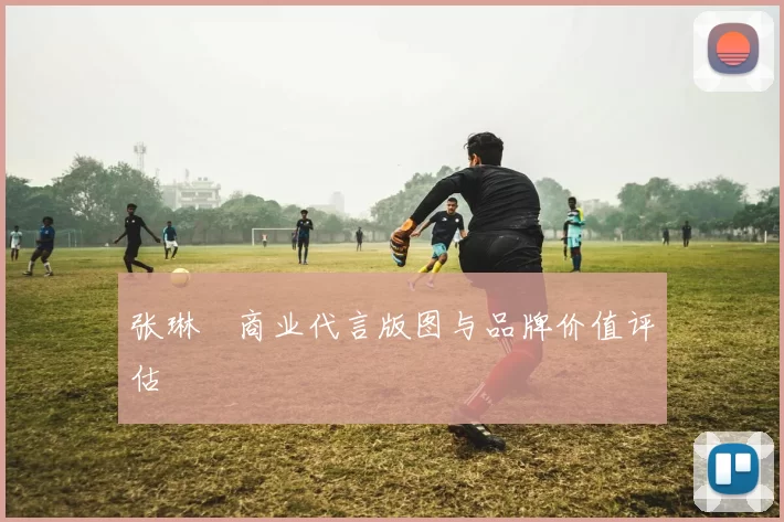张琳芃商业代言版图与品牌价值评估