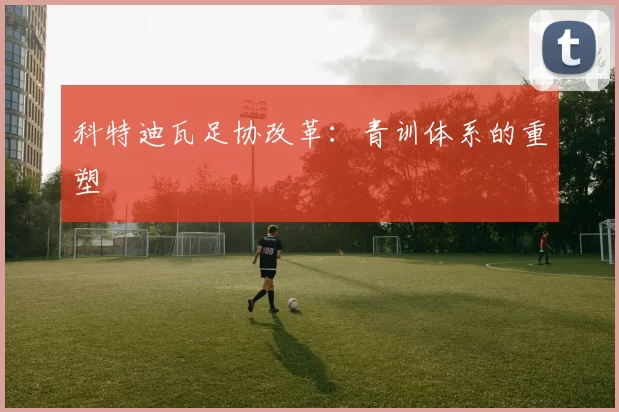 科特迪瓦足协改革：青训体系的重塑
