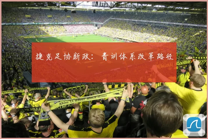 捷克足协新政：青训体系改革路径